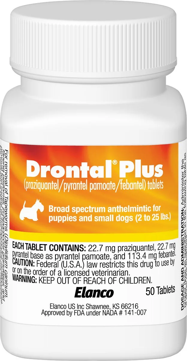 Drontal Plus for Dogs: Deworming Questions Answered
