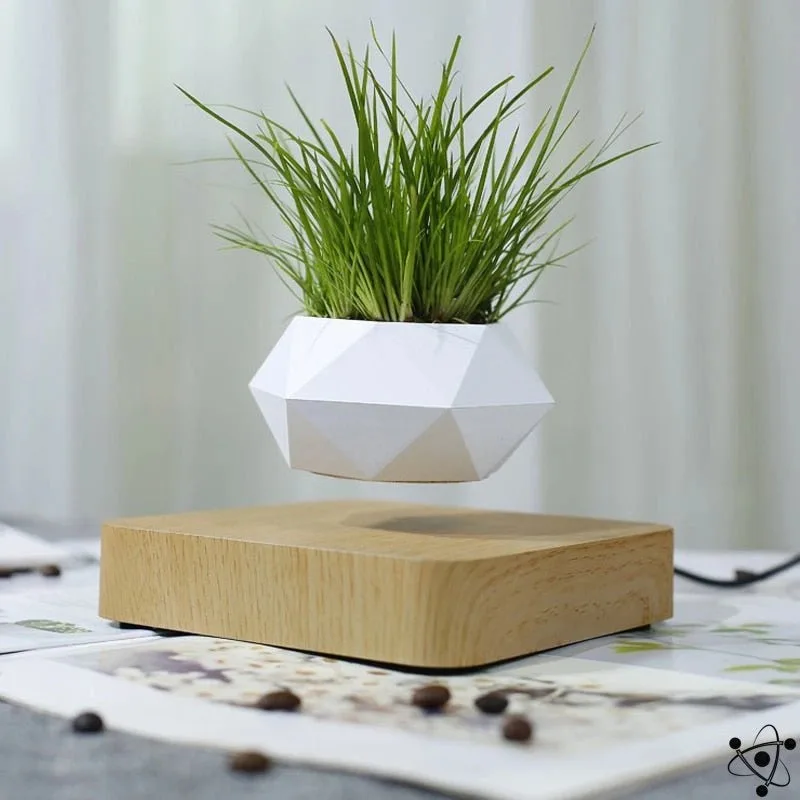 Wooden Levitating Vase