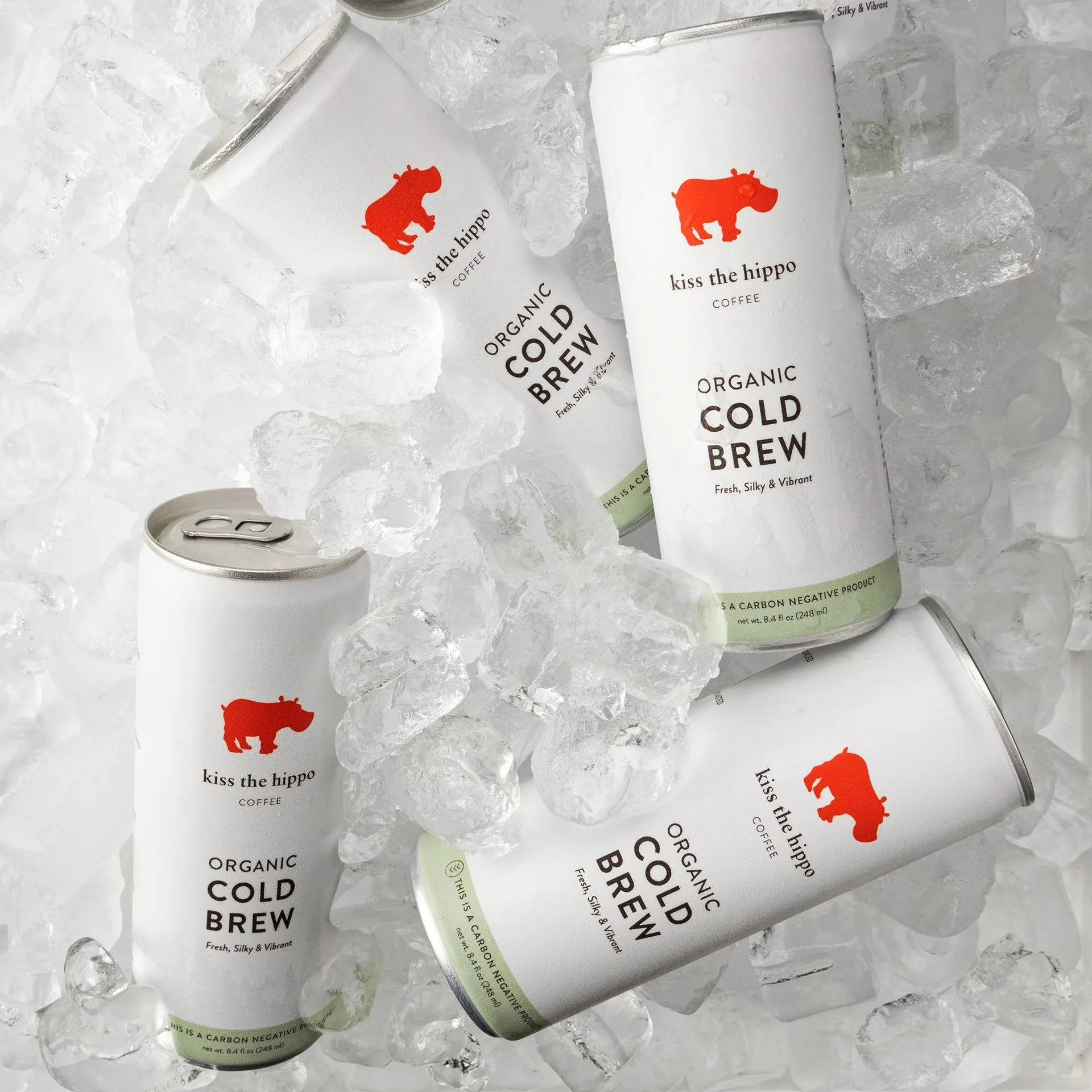Bio studená káva Cold Brew