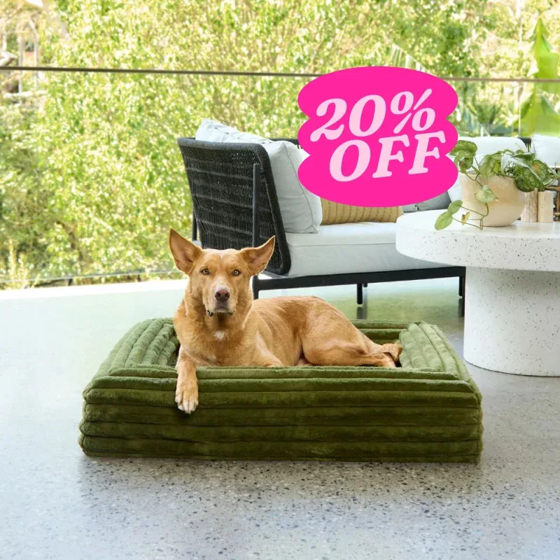 Memory Foam Dog Bed - Puffer Fern