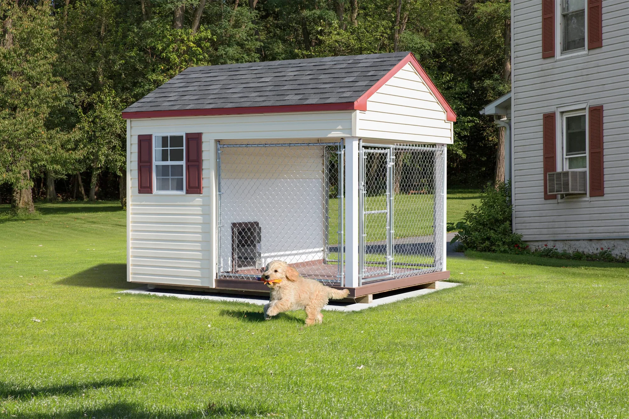 8×10 Dog Kennel