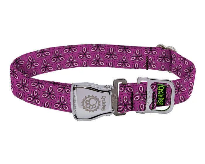 Mejores collares para perros para nadar y actividades acuáticas: qué buscar