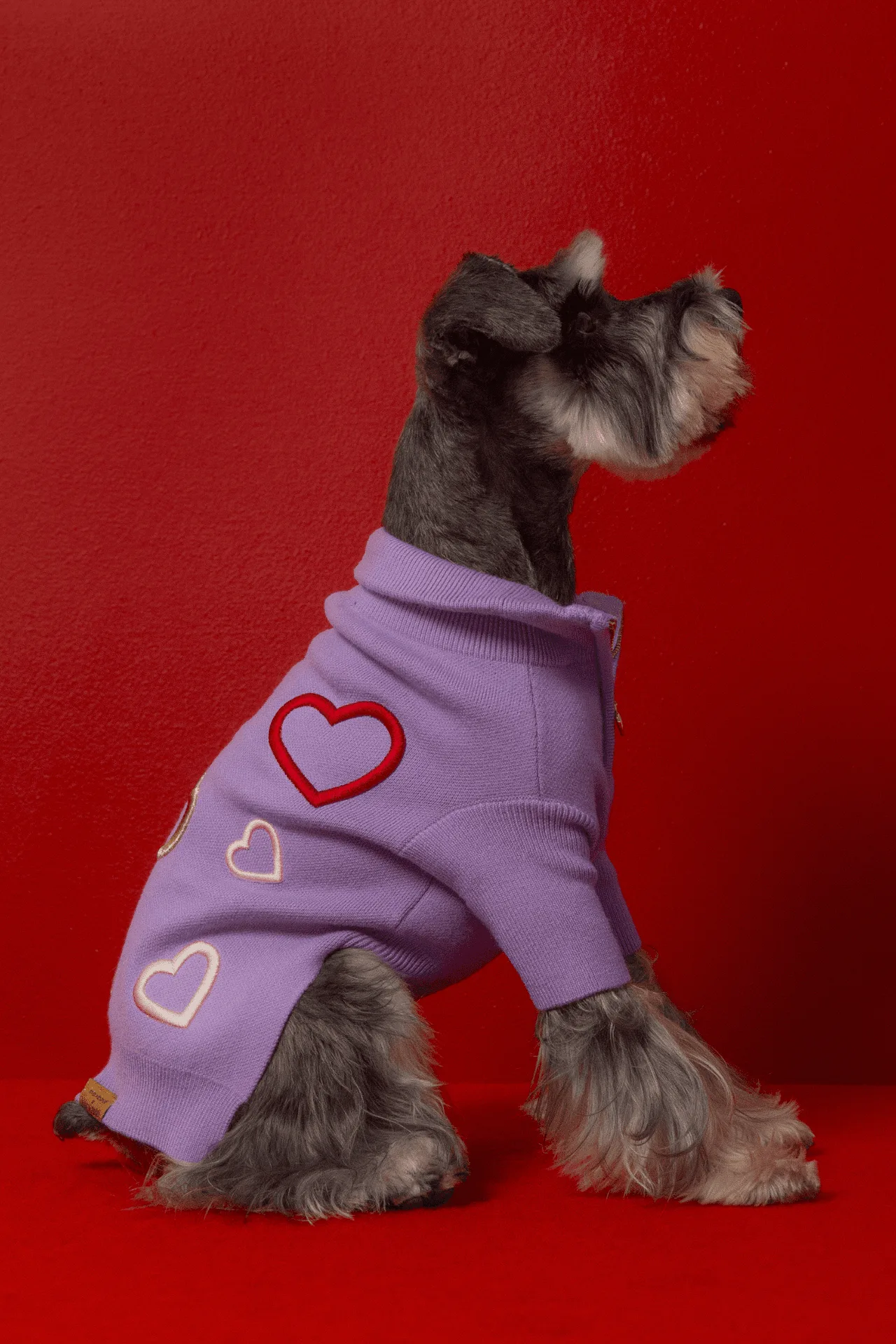 Eco-Friendly Dog Products: The Latest Trends in Sustainable Pet Gear