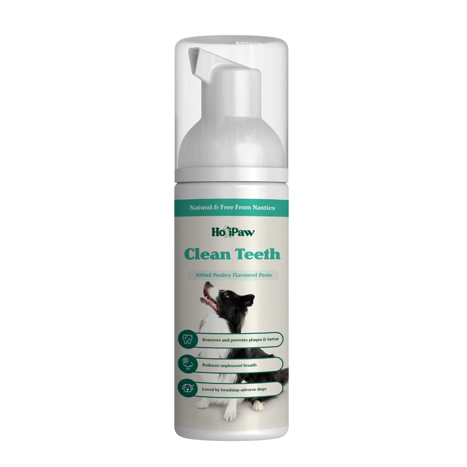Igiene dentale del cane: dentifricio o kit dentale?