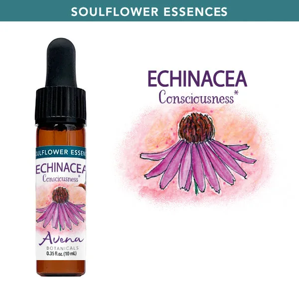Echinacea Soulflower Essence: Uses & Dosage Guide