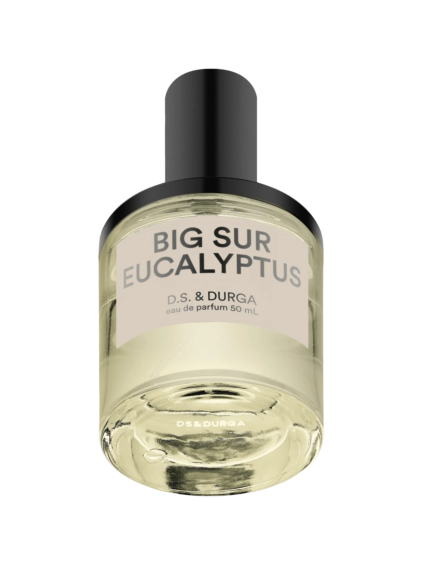 Eucalipto Big Sur