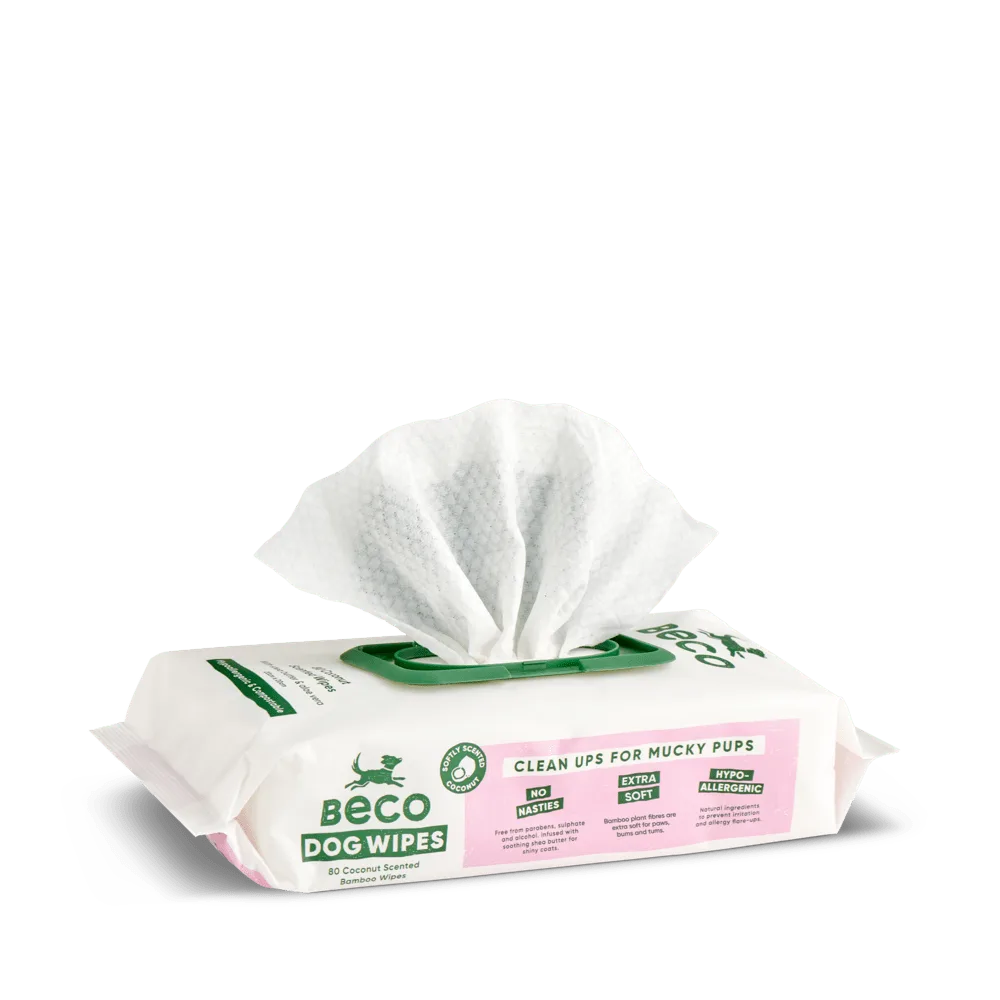 Comment utiliser efficacement les lingettes pour chien pour les pattes, le pelage et les moments salissants