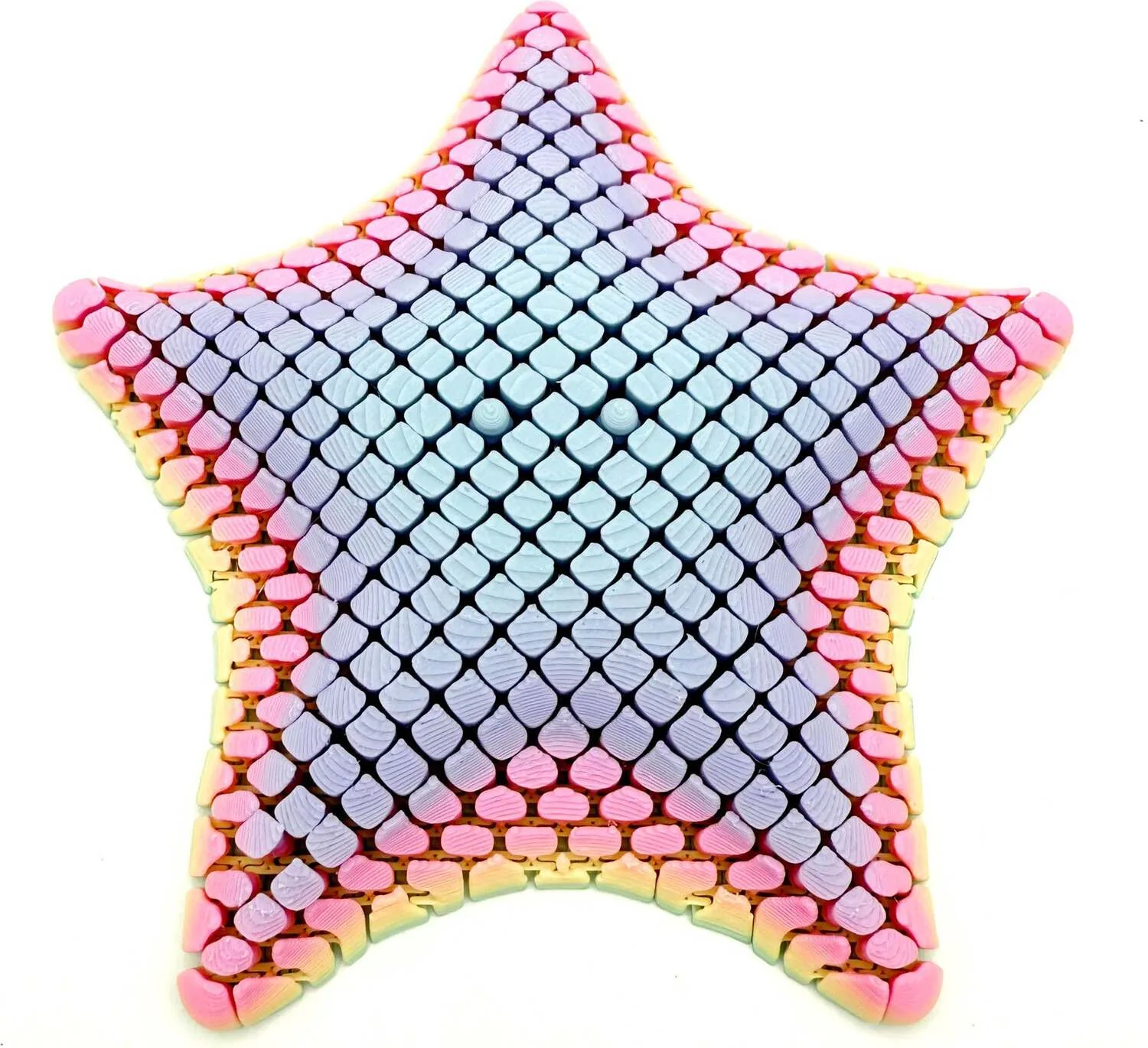Stella Marina Floscia