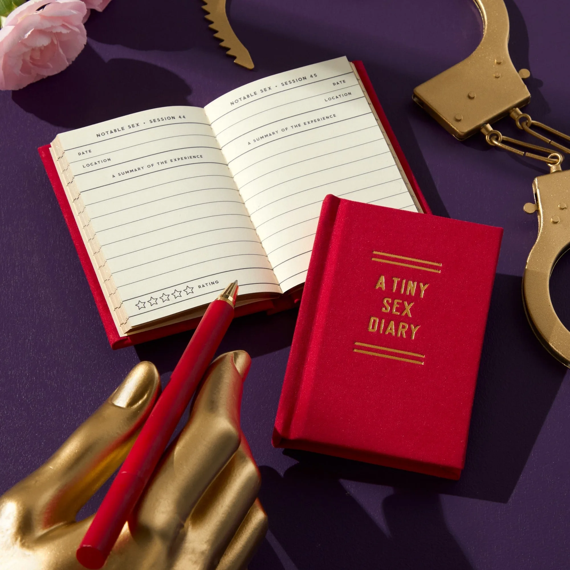 Qué escribir en un pequeño diario sexual