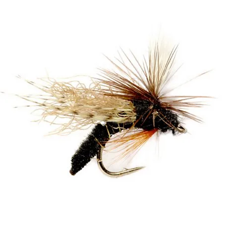 Fly Fishing for Beginners: Essential Gear and Skills