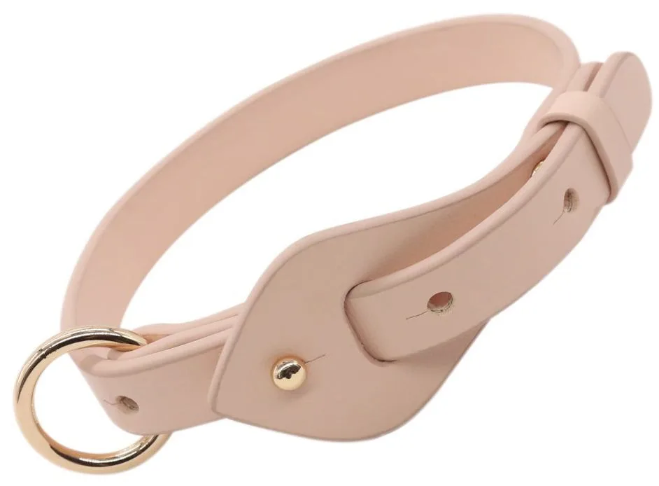 Cómo medir a tu perro para un collar que le quede bien