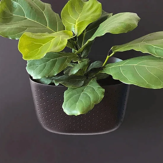 How to Match Planters to Your Home's Decor Style: A Visual Guide