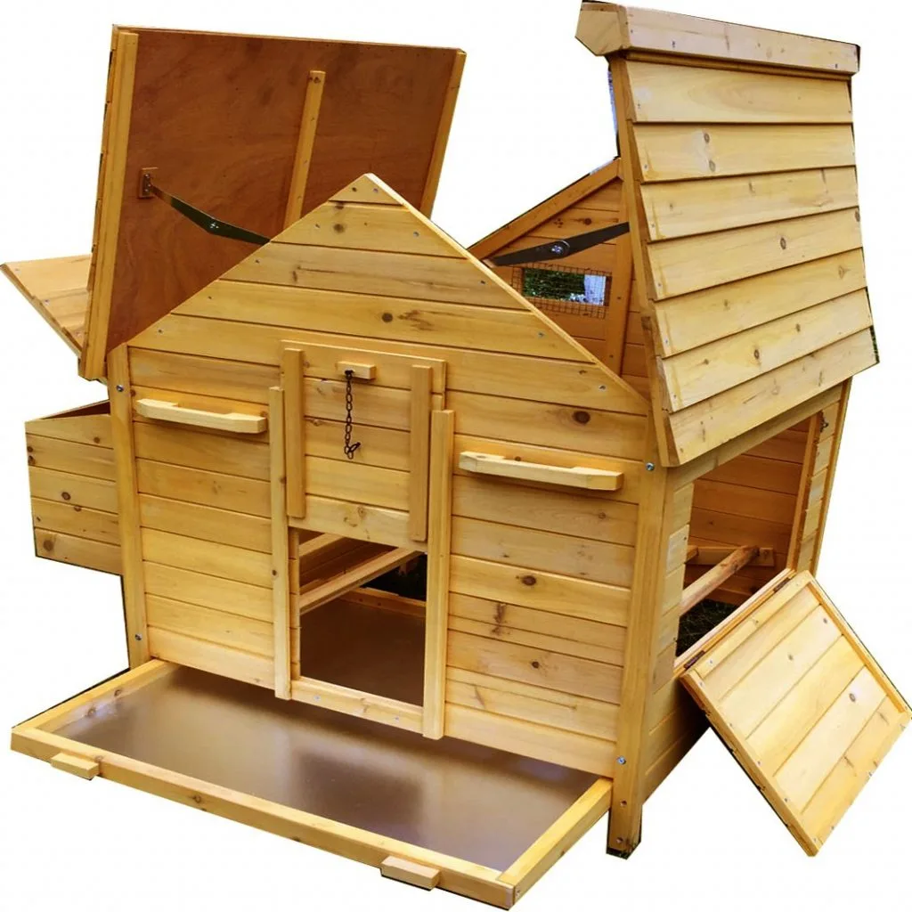 Cage d'accès pour chiens, poules ou lapins : en avez-vous besoin ?