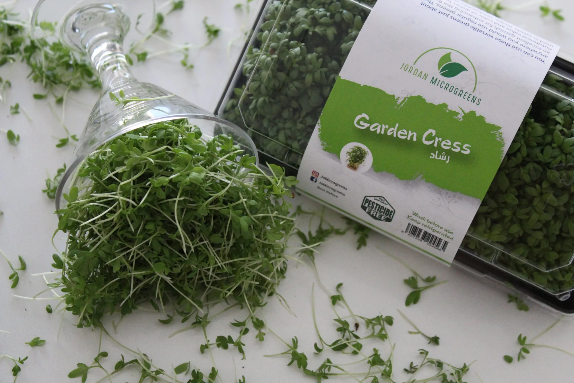 Microgreens vs Sprouts: Which Is More Nutritious?