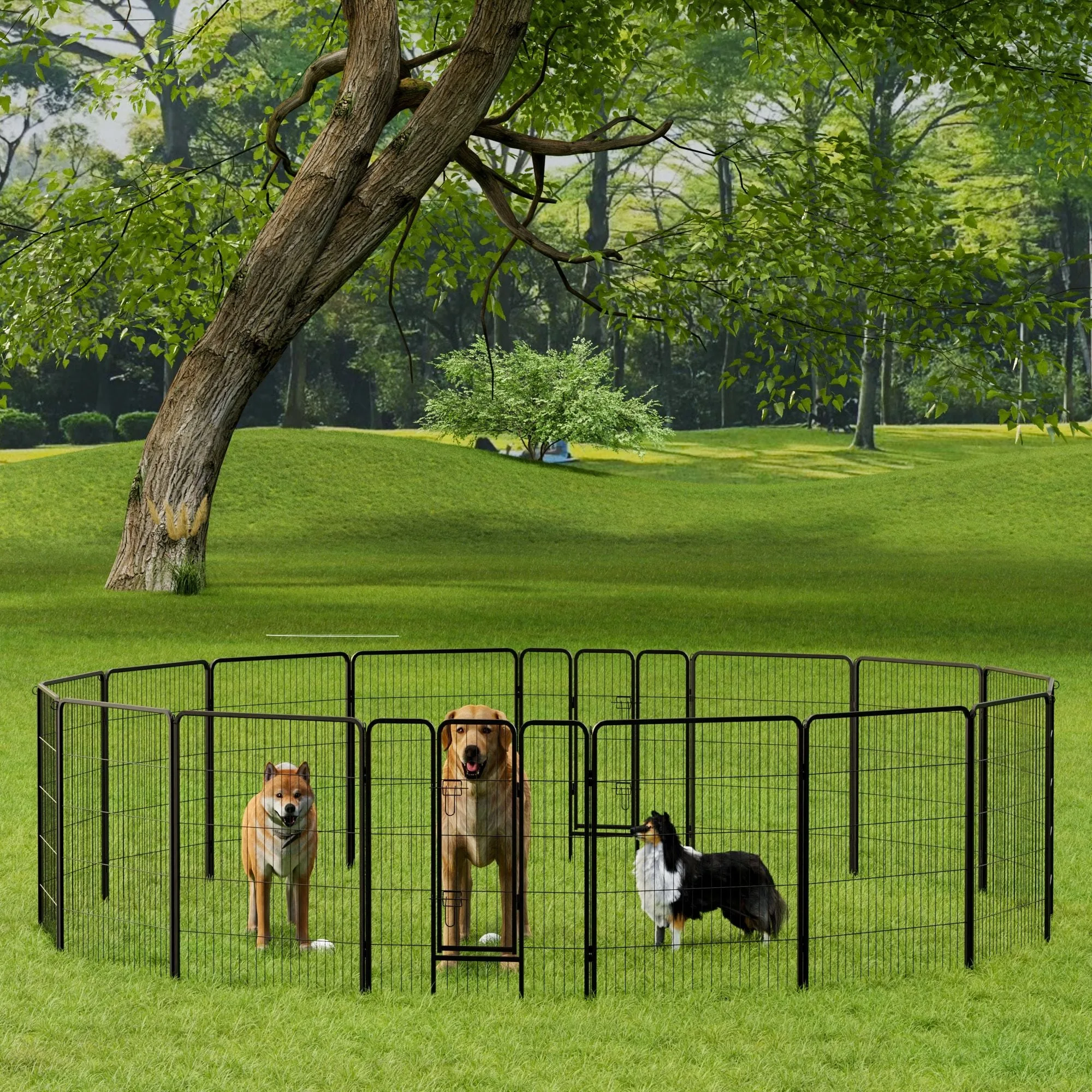 子犬に合ったサークルのサイズ選び