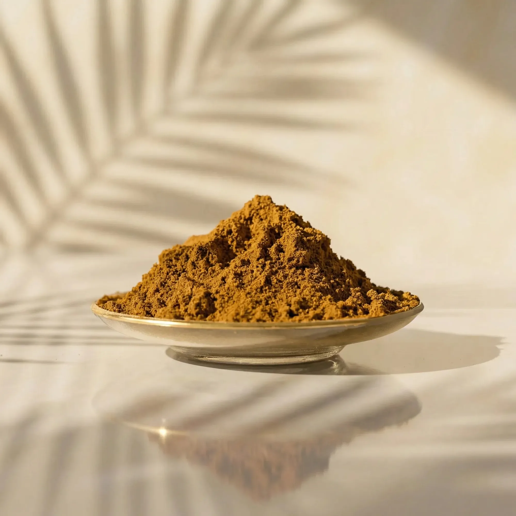 Mistura de especiarias Kabsa – Mistura árabe autêntica