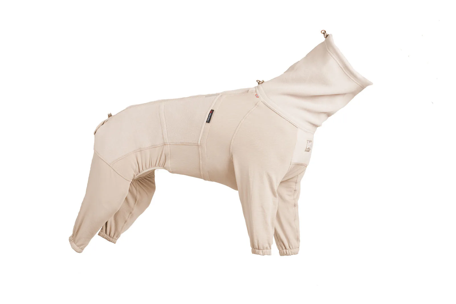 What to Wear for Canicross: Layering for Runners and Dogs