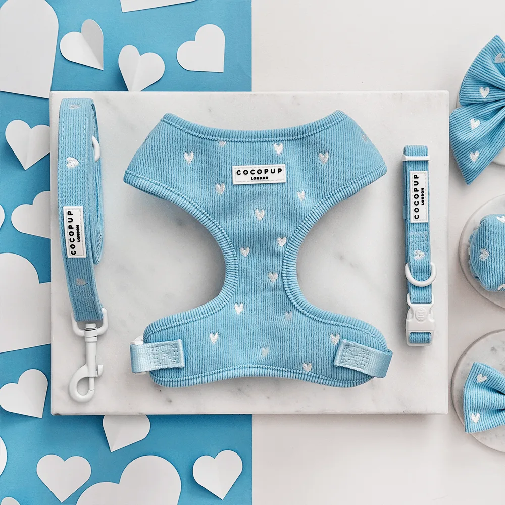 Blue Heartstrings Cord Adjustable Neck Harness, Lead & Collar Bundle