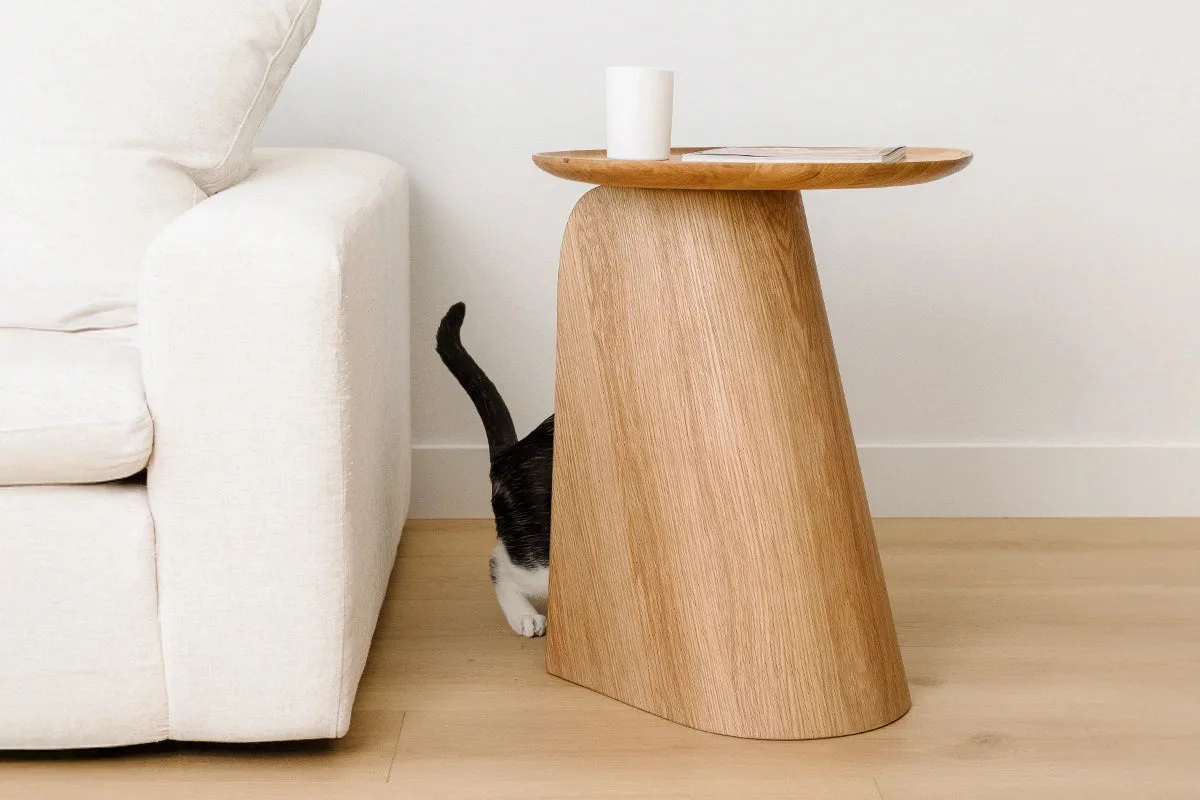 Do Cats Really Need a Scratching Post? Mau Myths Explained