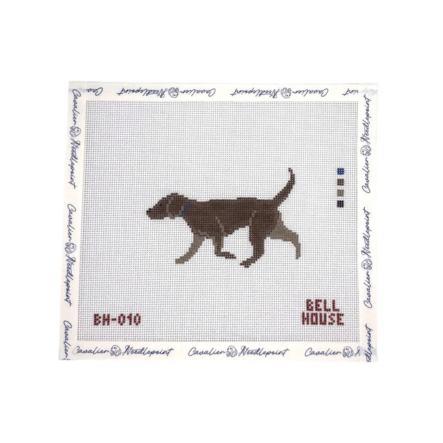 Chocolate Lab