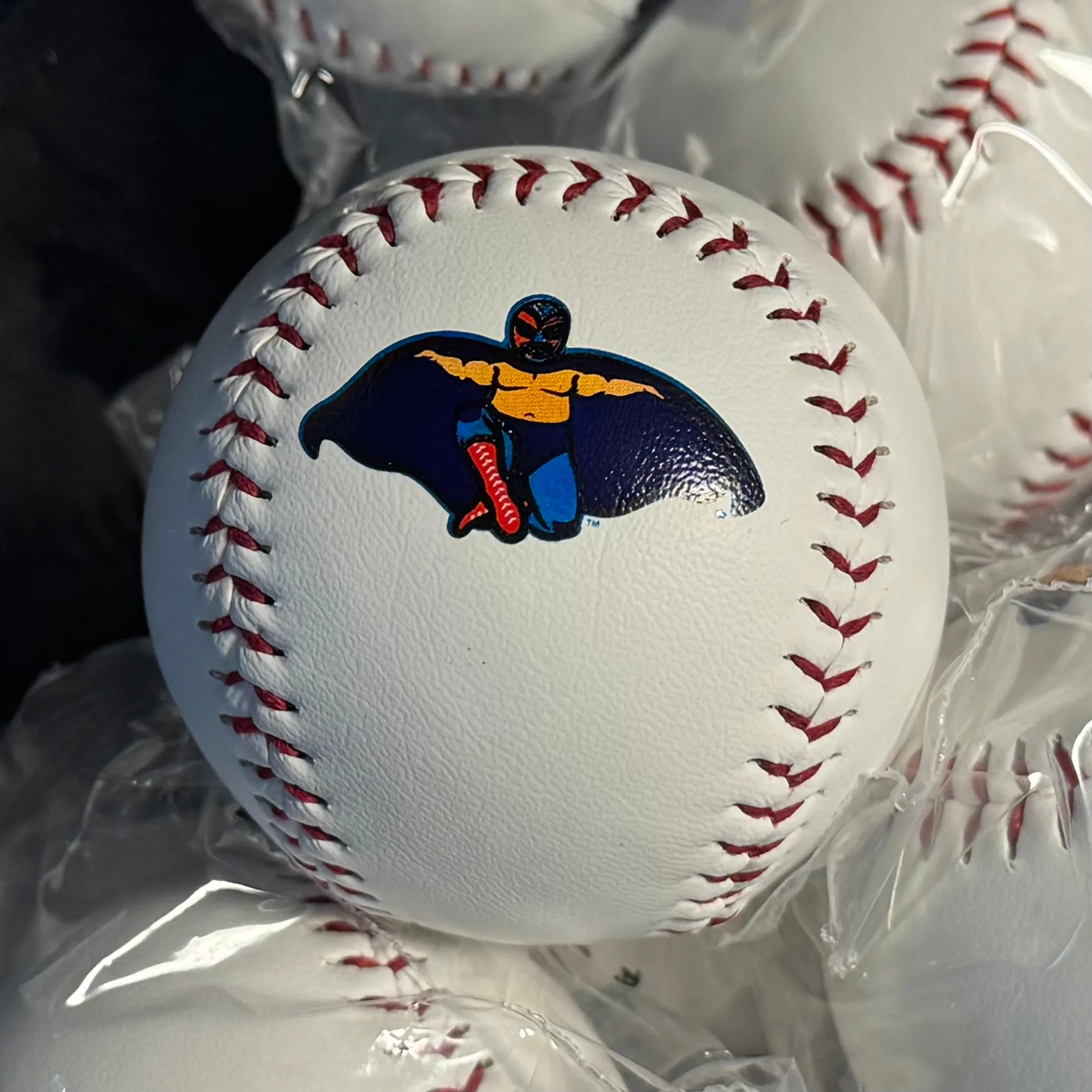 Hill City Howlers Luchadores Copa Logo Baseball
