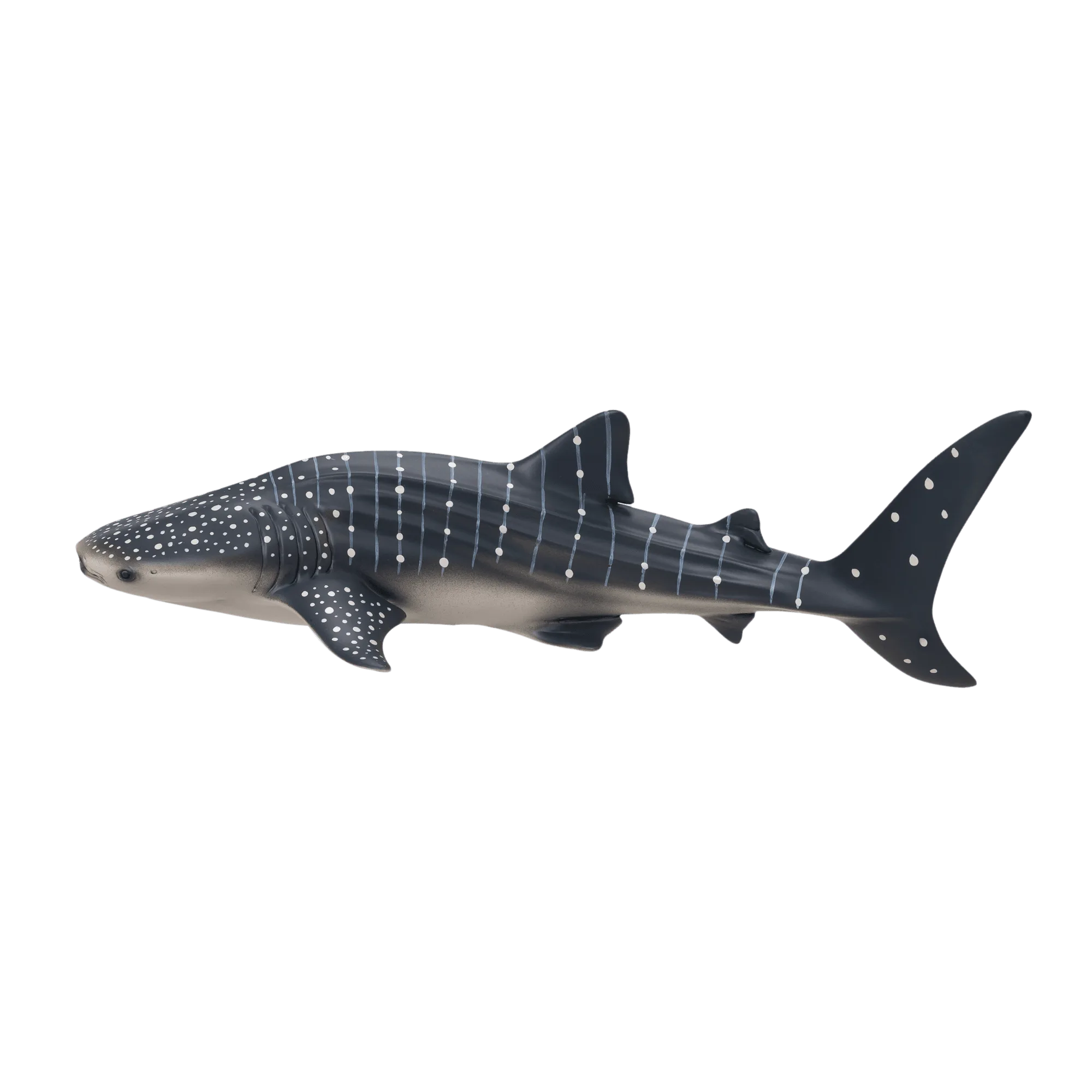 Whale Shark