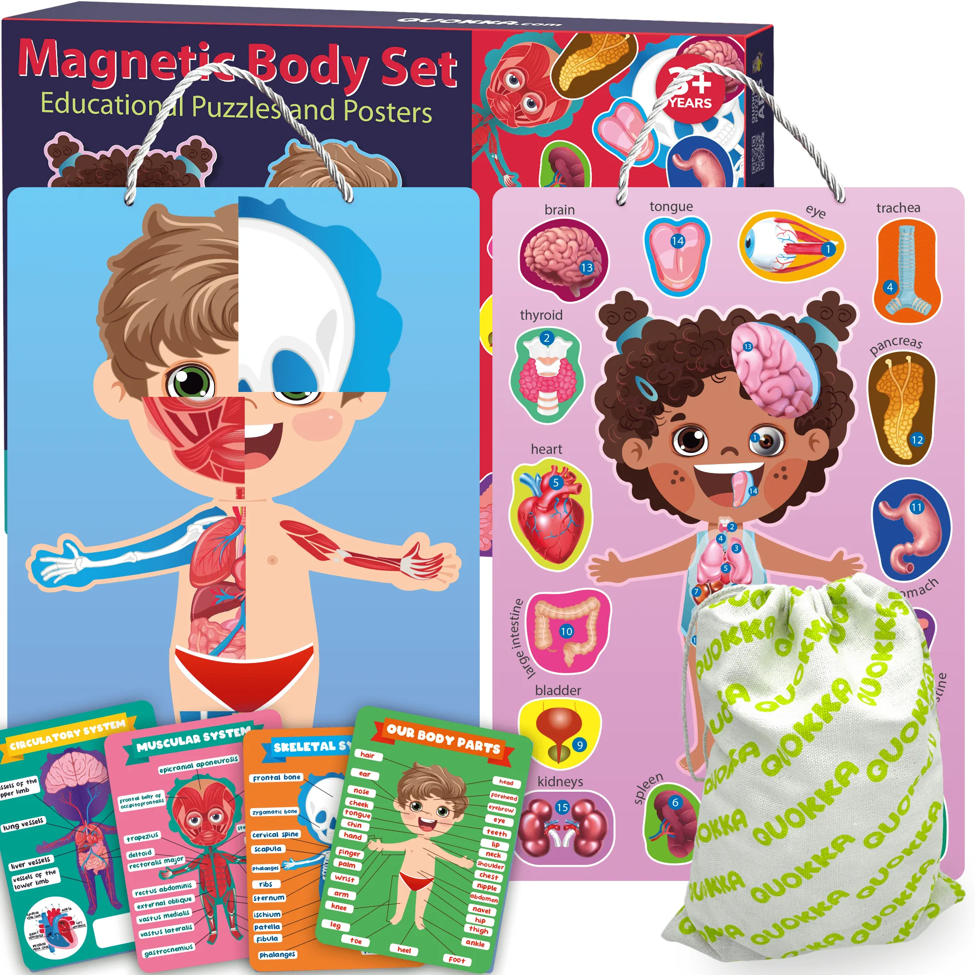 Magnetic Montessori Puzzles for Kids | Anatomy