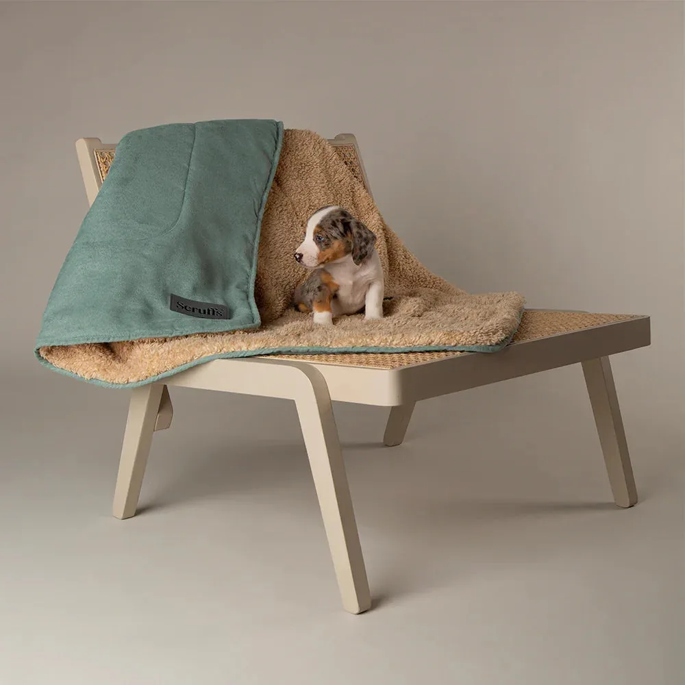 Scruffs Snuggle Dog Blanket