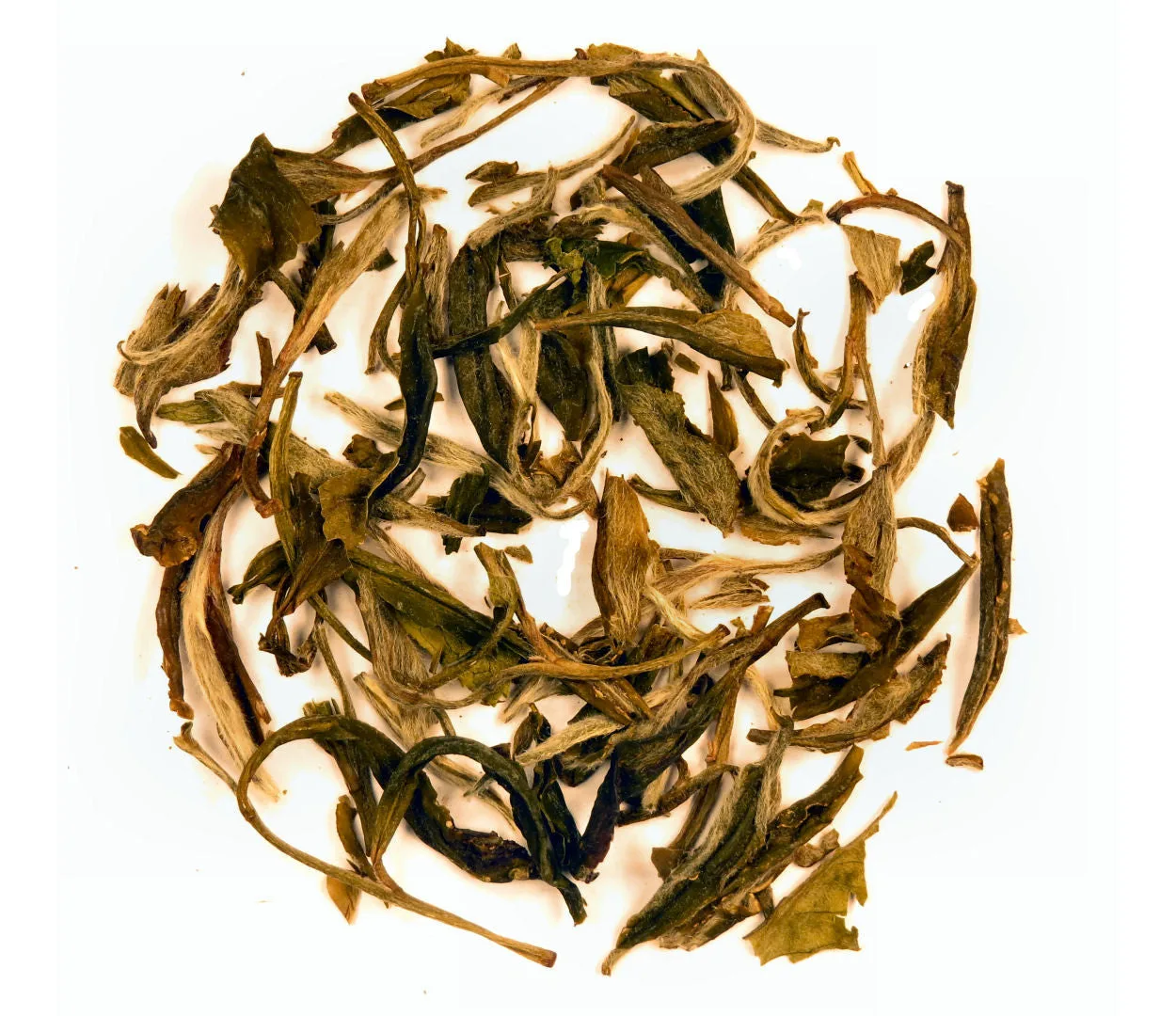 Jenis Teh Putih: Silver Needle vs Pai Mu Tan