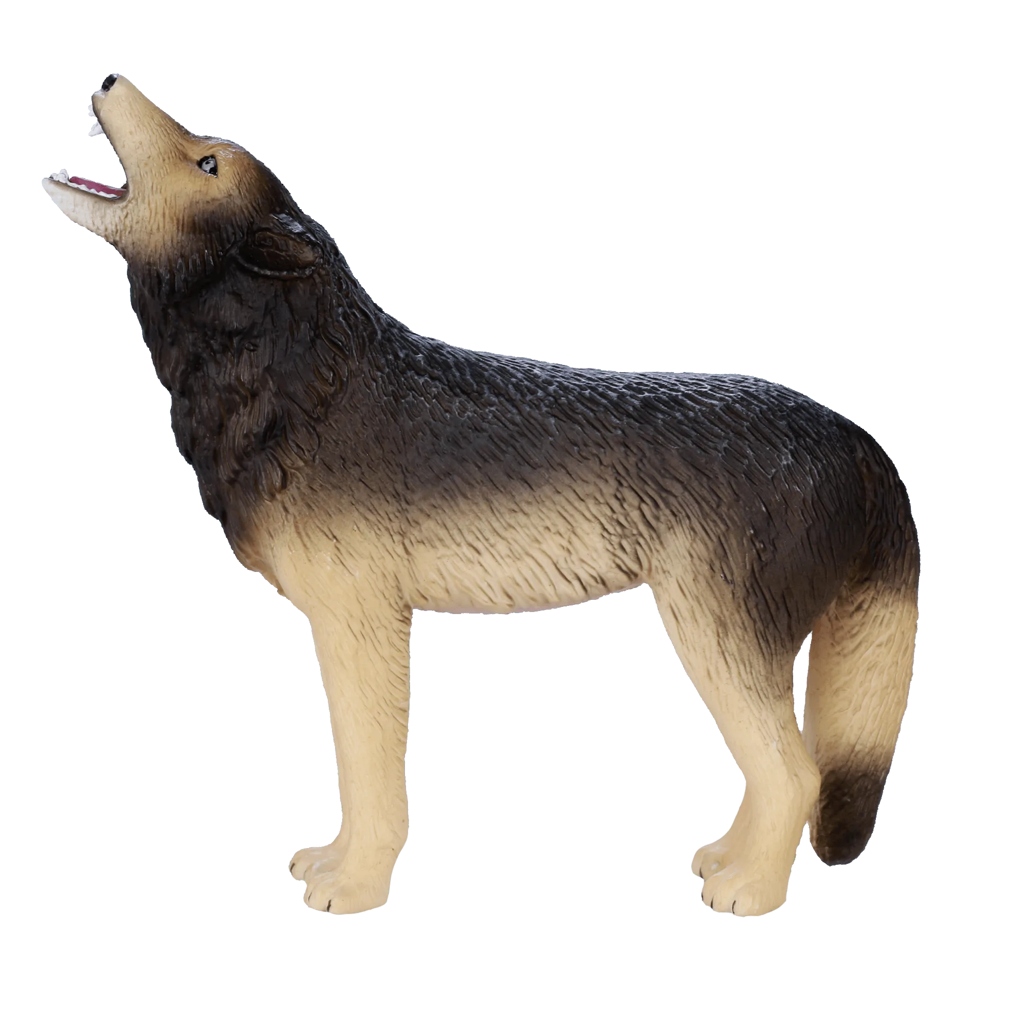 Timber Wolf Howling