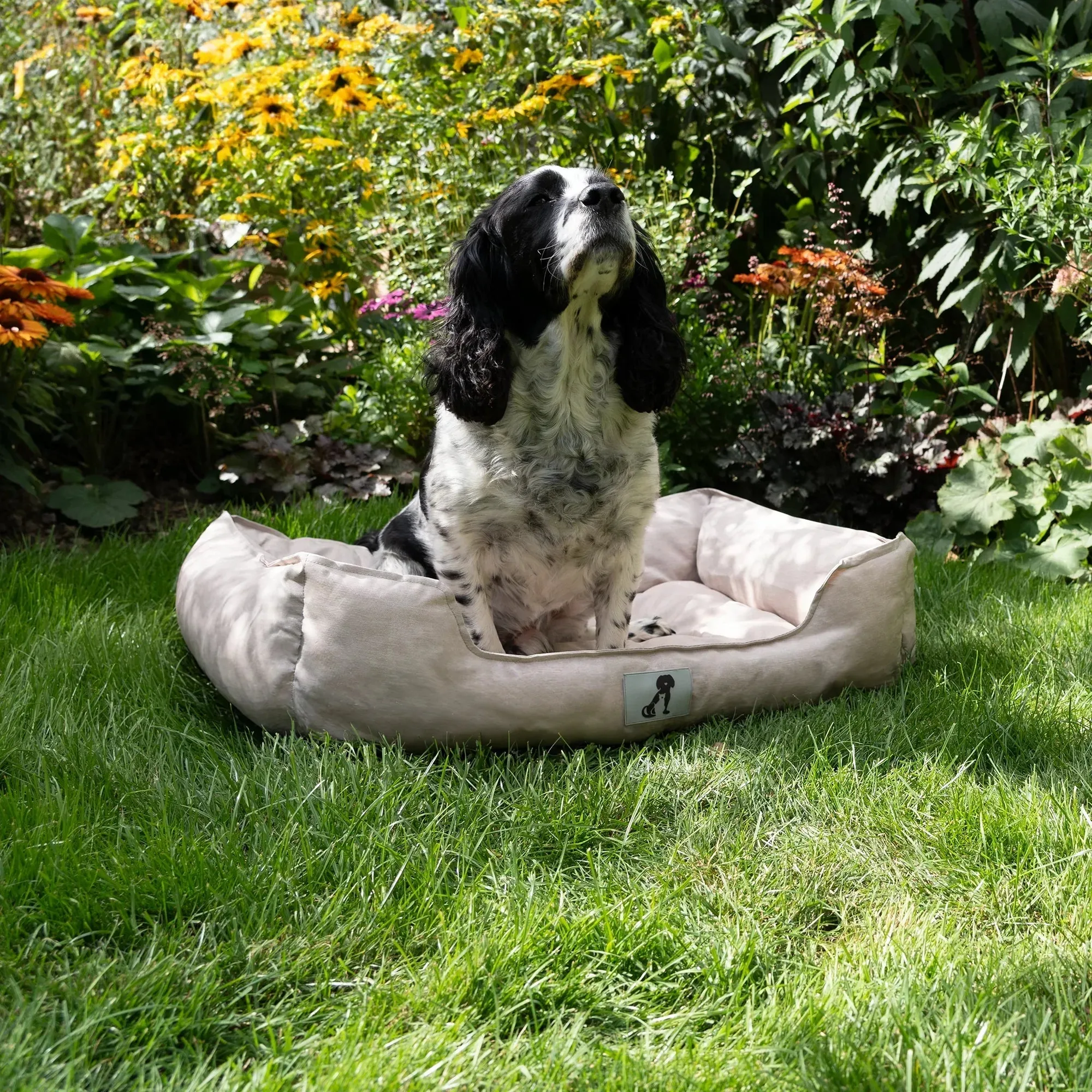AllPetSolutions Dexter Waterproof Box Dog Bed - Cream - S/M/L