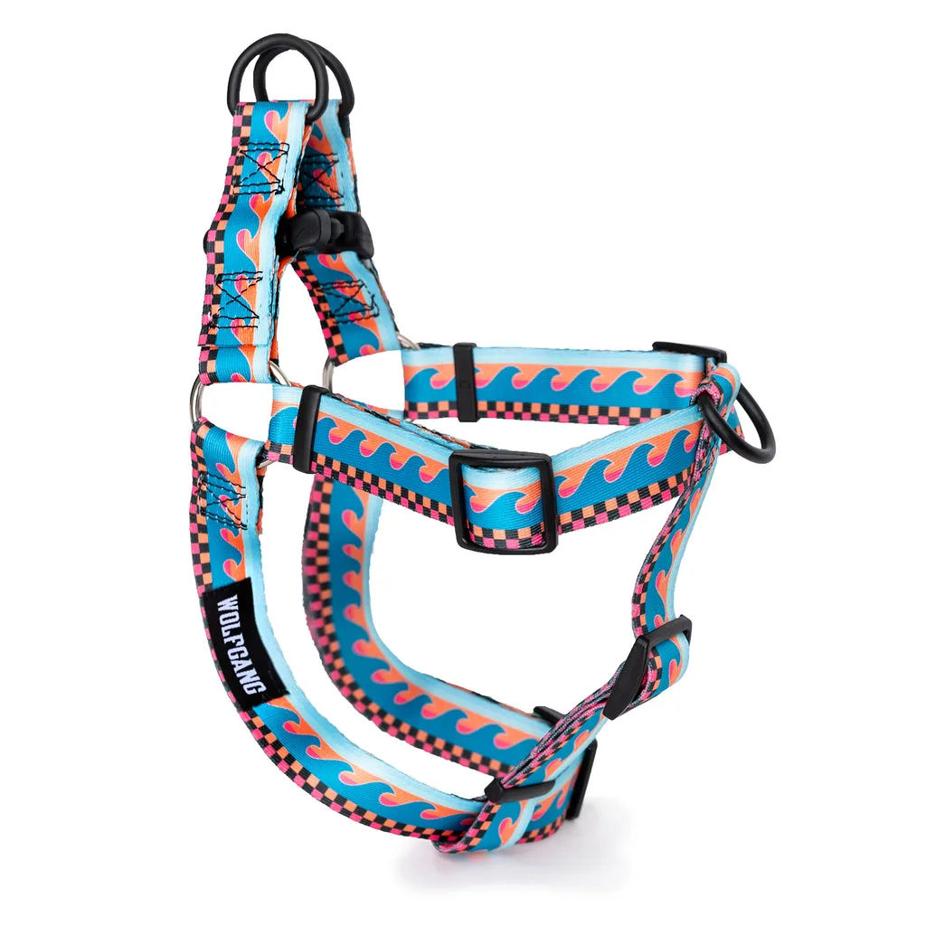 How to Choose a Dog Harness for Senior Dogs: Comfort & Support