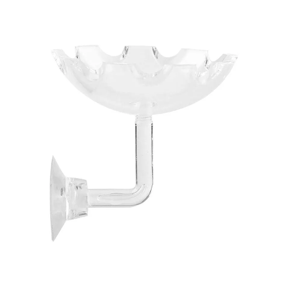 Setting Up a Shrimp Feeding Dish for Cleaner Tanks