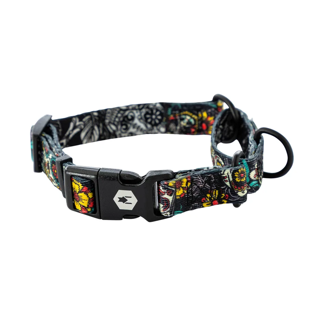 How to Attach a Leash to a Collar or Harness Properly