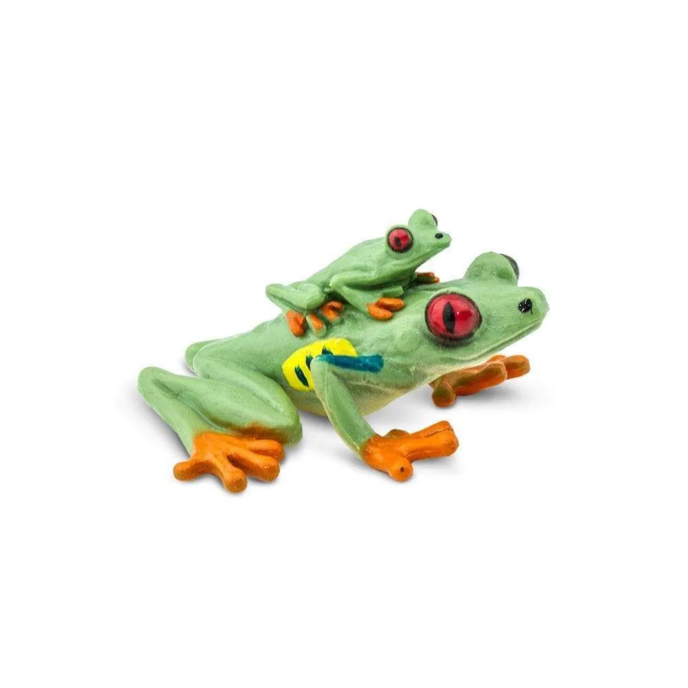 Red-eyed Tree Frog Toy