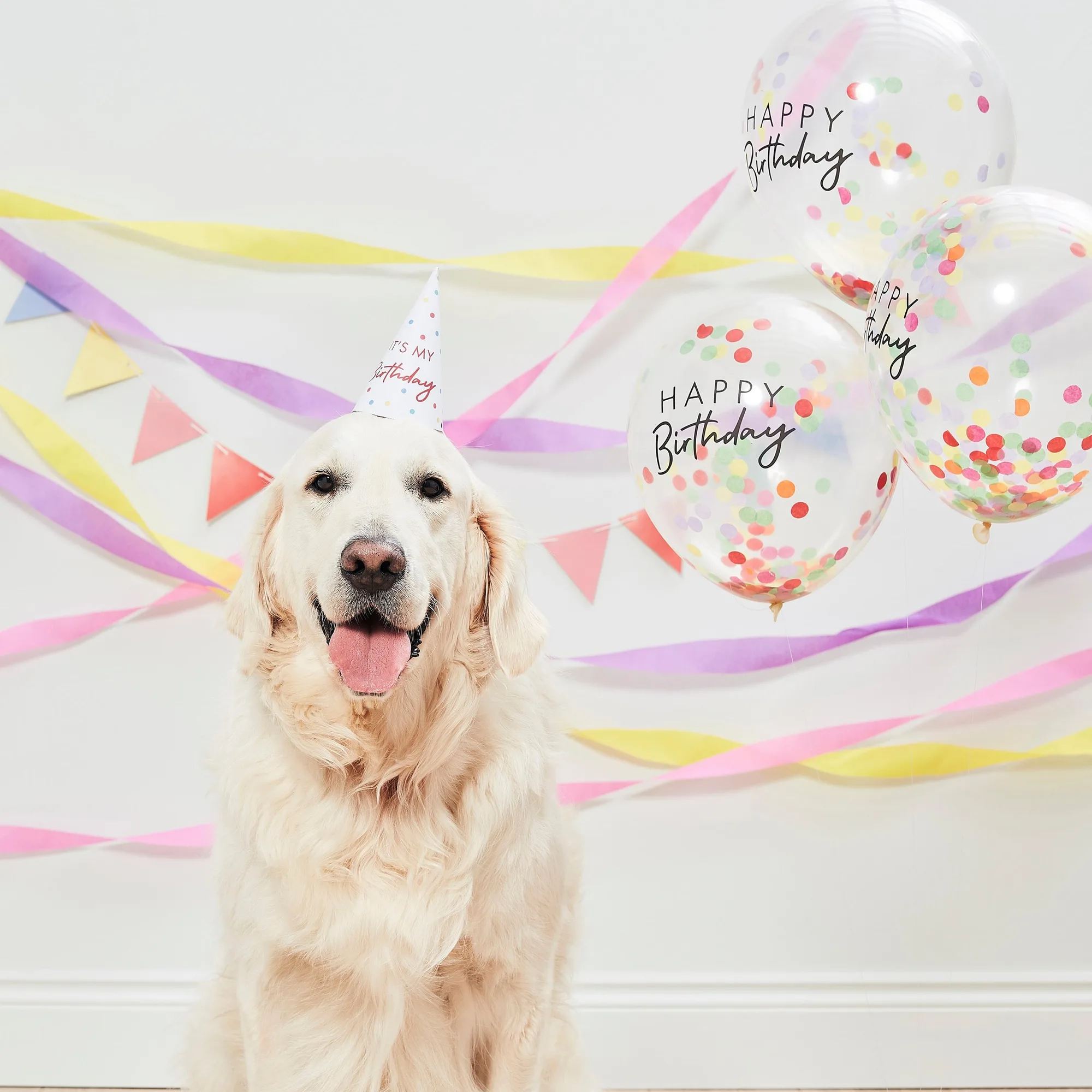 狗狗與貓咪生日派對組