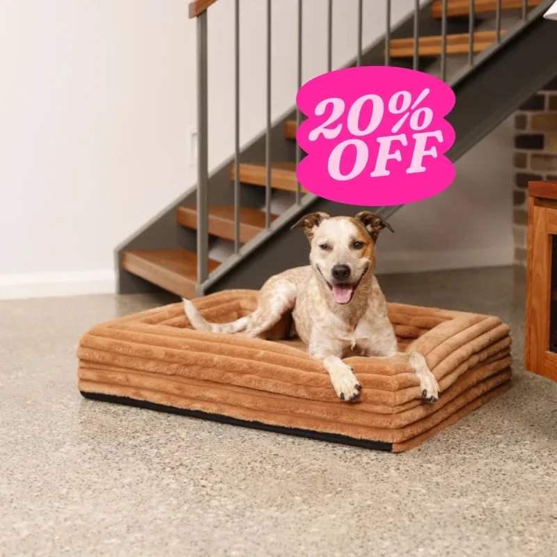 Memory Foam Dog Bed - Puffer Nutmeg