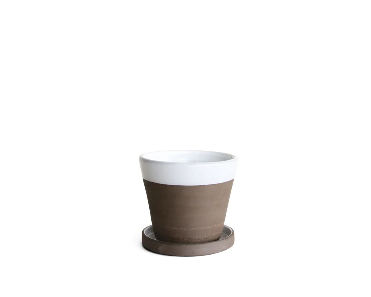 Planter