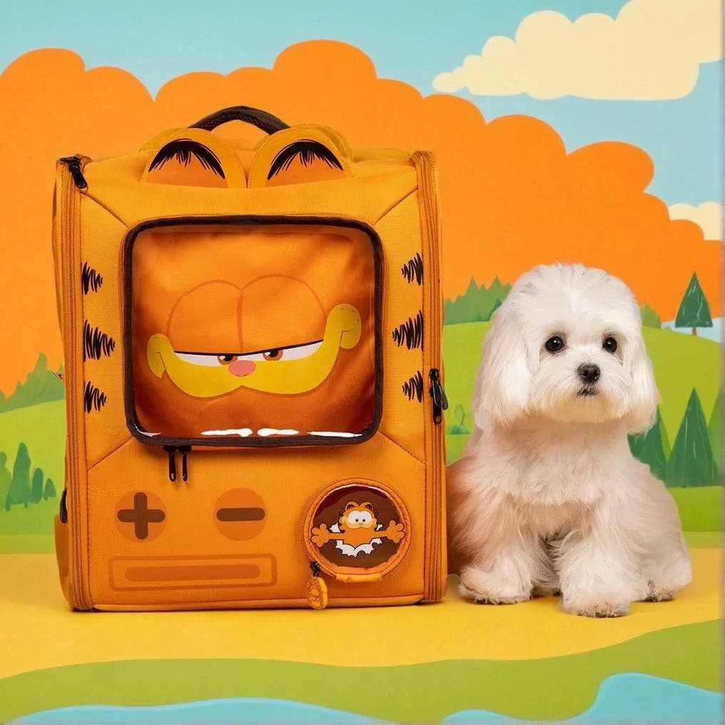 How to Care for Your Dog's Apparel and Accessories: Washing and Storage Tips