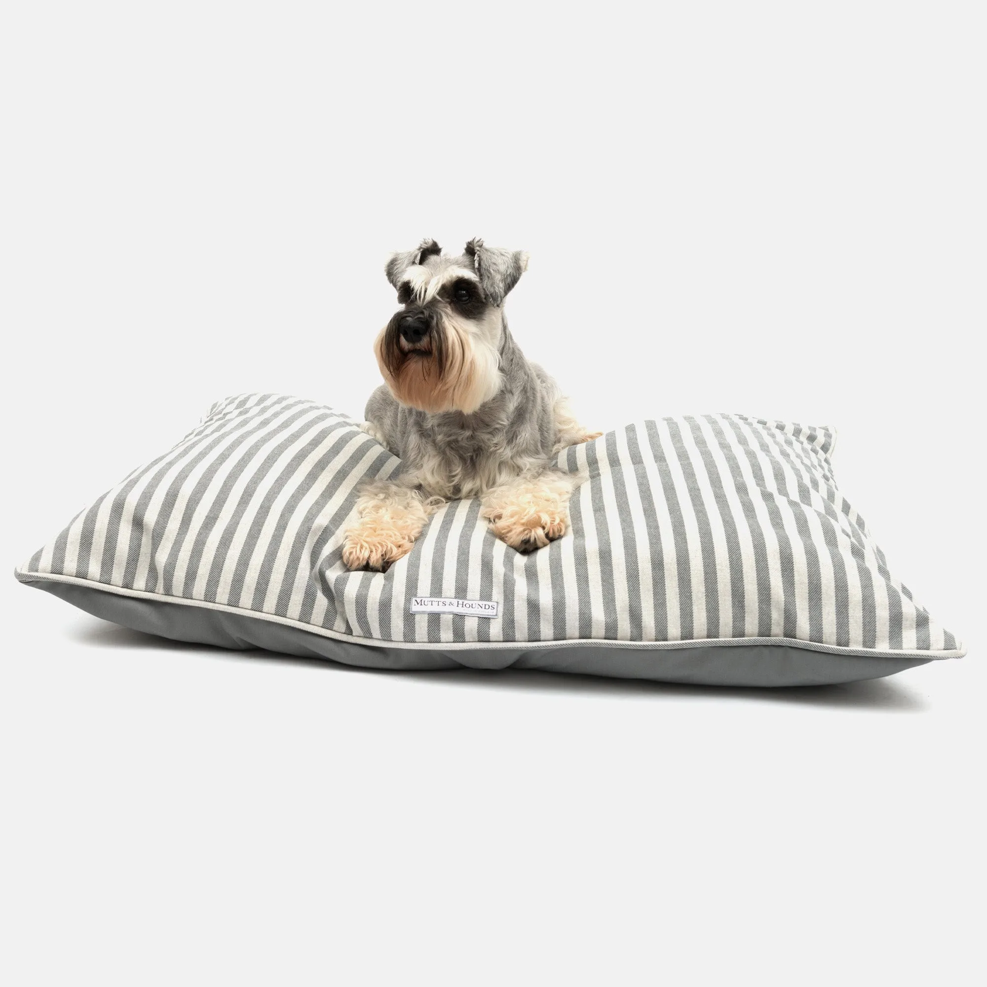 Why Does My Dog Need a Bow Tie? The Surprising Benefits of Dressing Up Your Pup