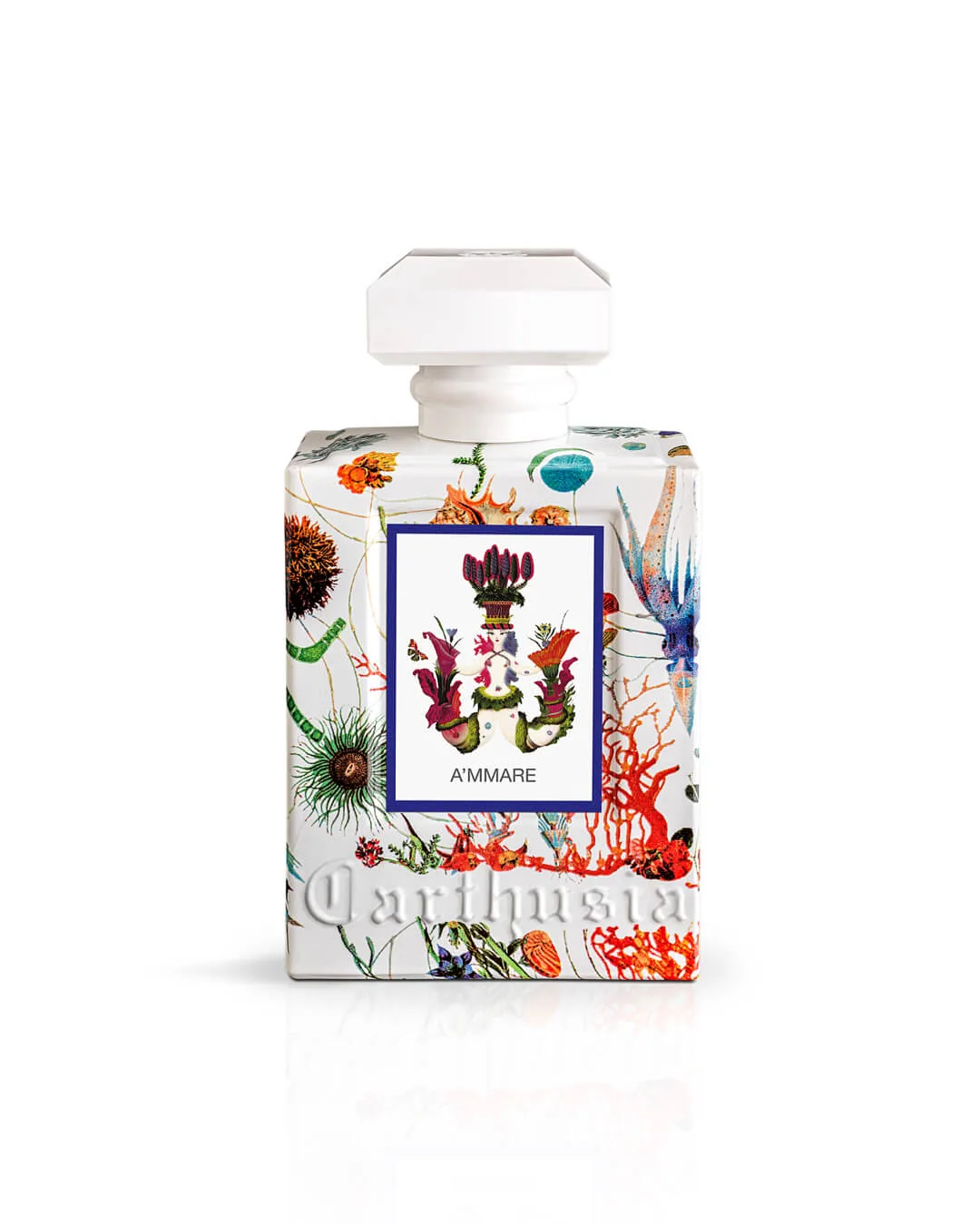 A'mmare vs Mediterraneo: Carthusia Marine Scents Compared