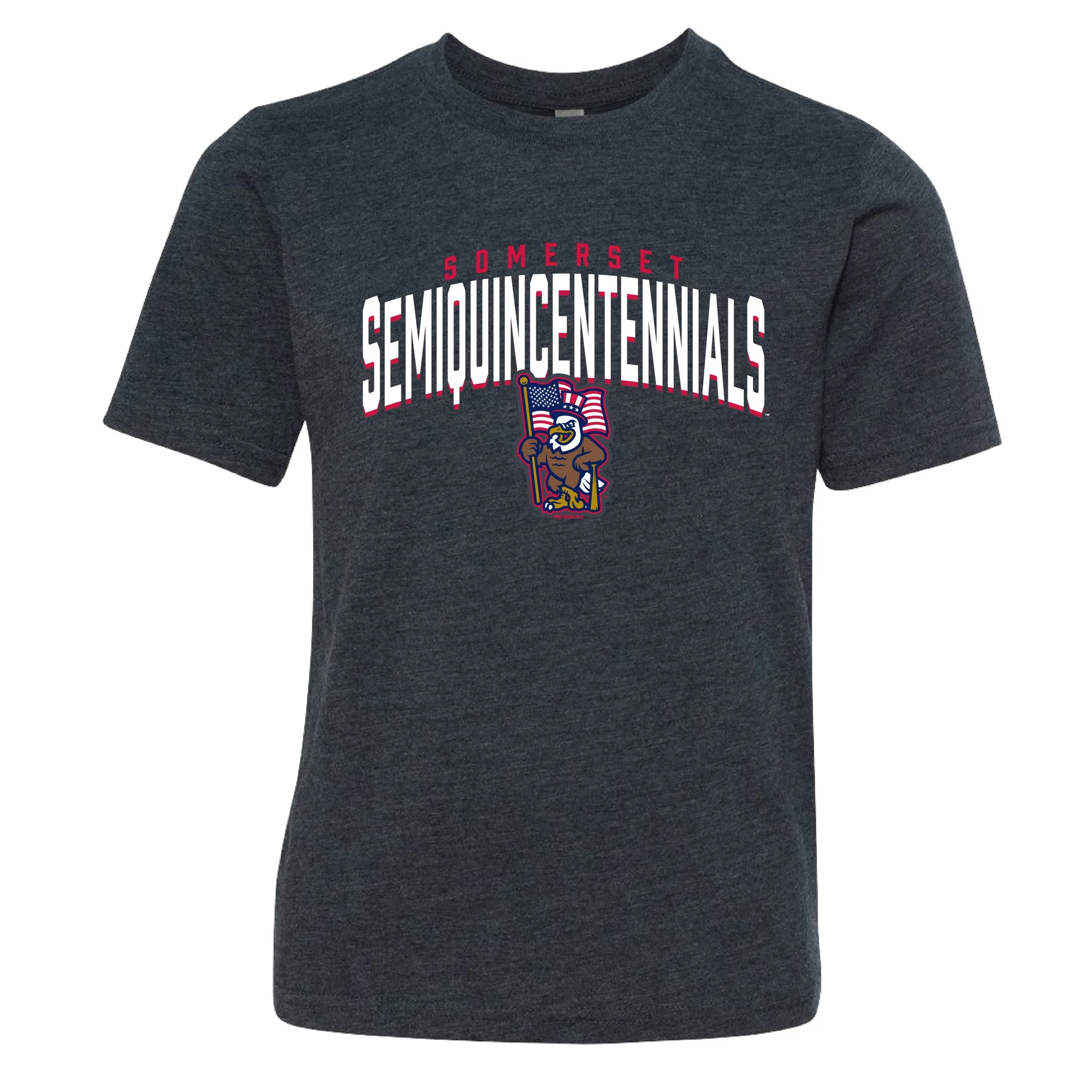 Somerset Patriots Youth Somerset Semiquincentennials Zaid Full Body Eagle Tri-Blend T-shirt
