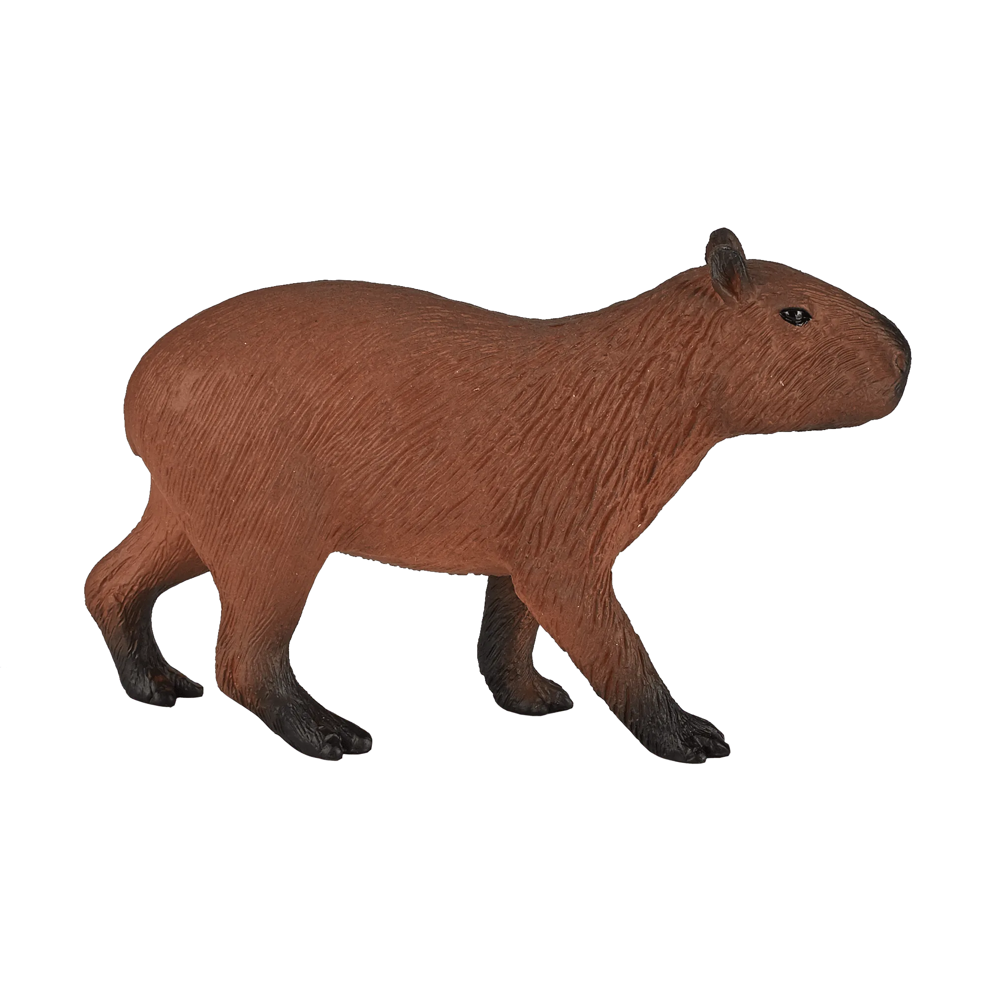 Capybara Figure Buying Guide: Size, Paint, and Realism