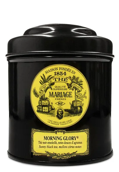 Morning Glory vs Eros: ¿Qué té empezar el día?