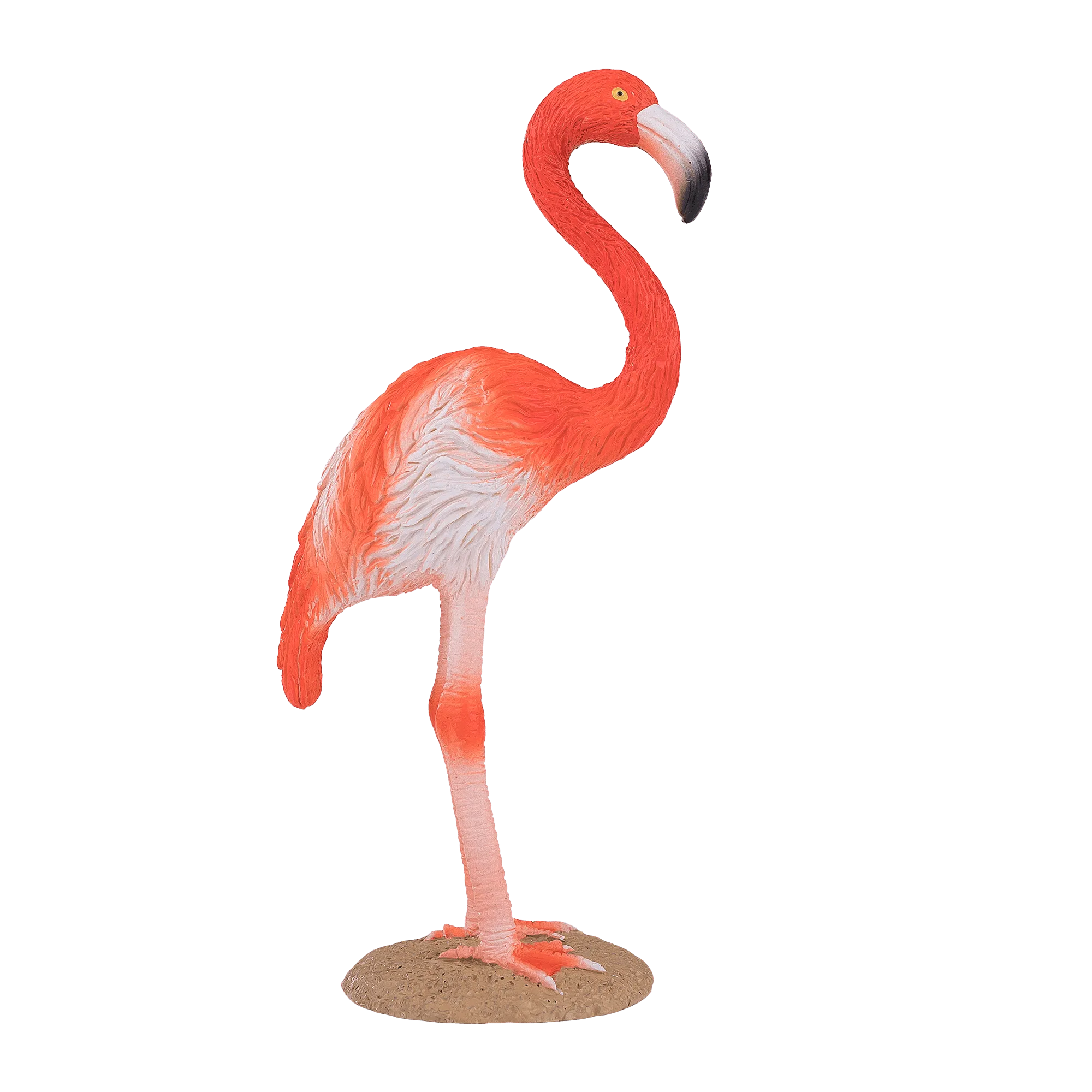 American Flamingo Figure: Size, Color & Display Tips