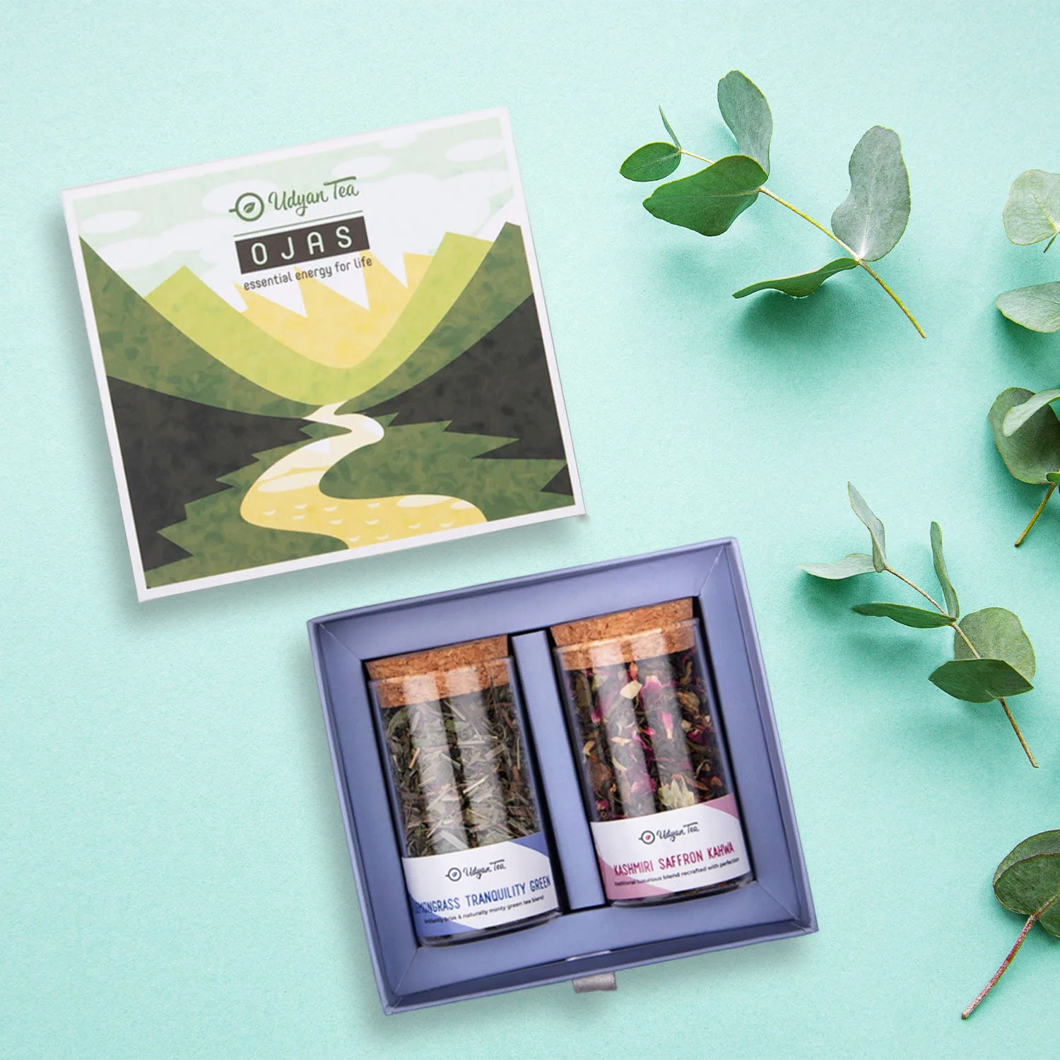 Tee-Geschenkbox für jeden Anlass wählen: Ein praktischer Kaufratgeber