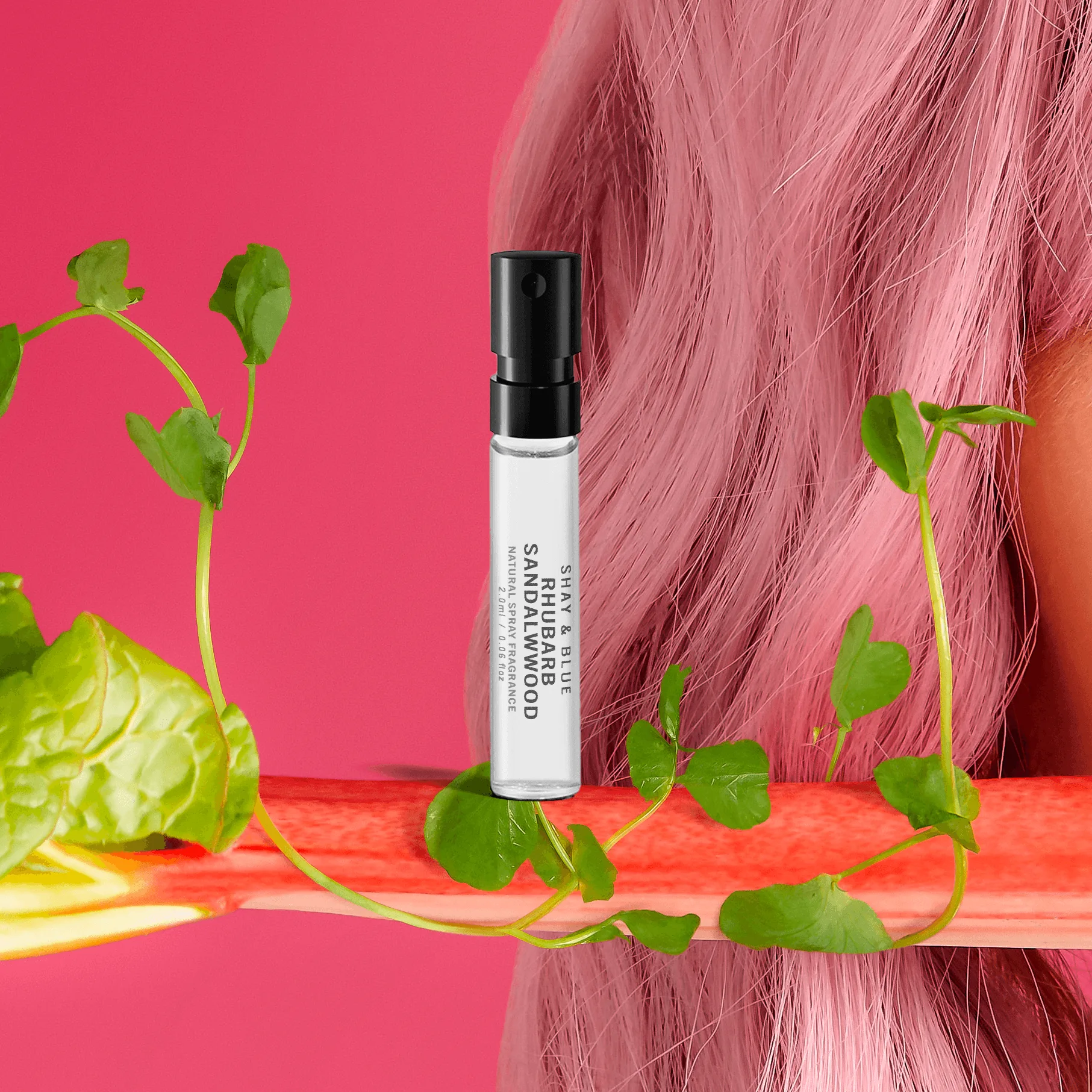 ตัวอย่าง Rhubarb Sandalwood