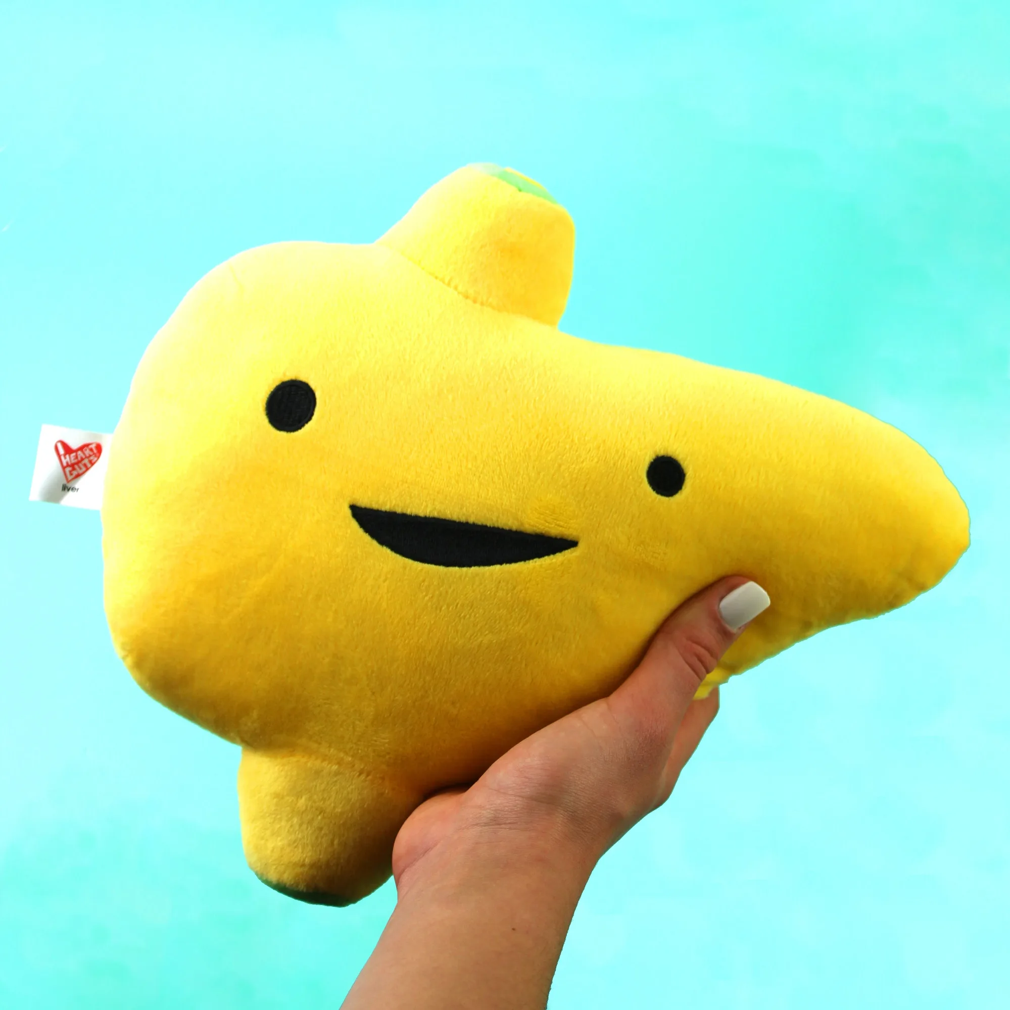 Liver Plushie - I'm a Liver Not a Fighter - Plush Organ Stuffed Toy Pillow
