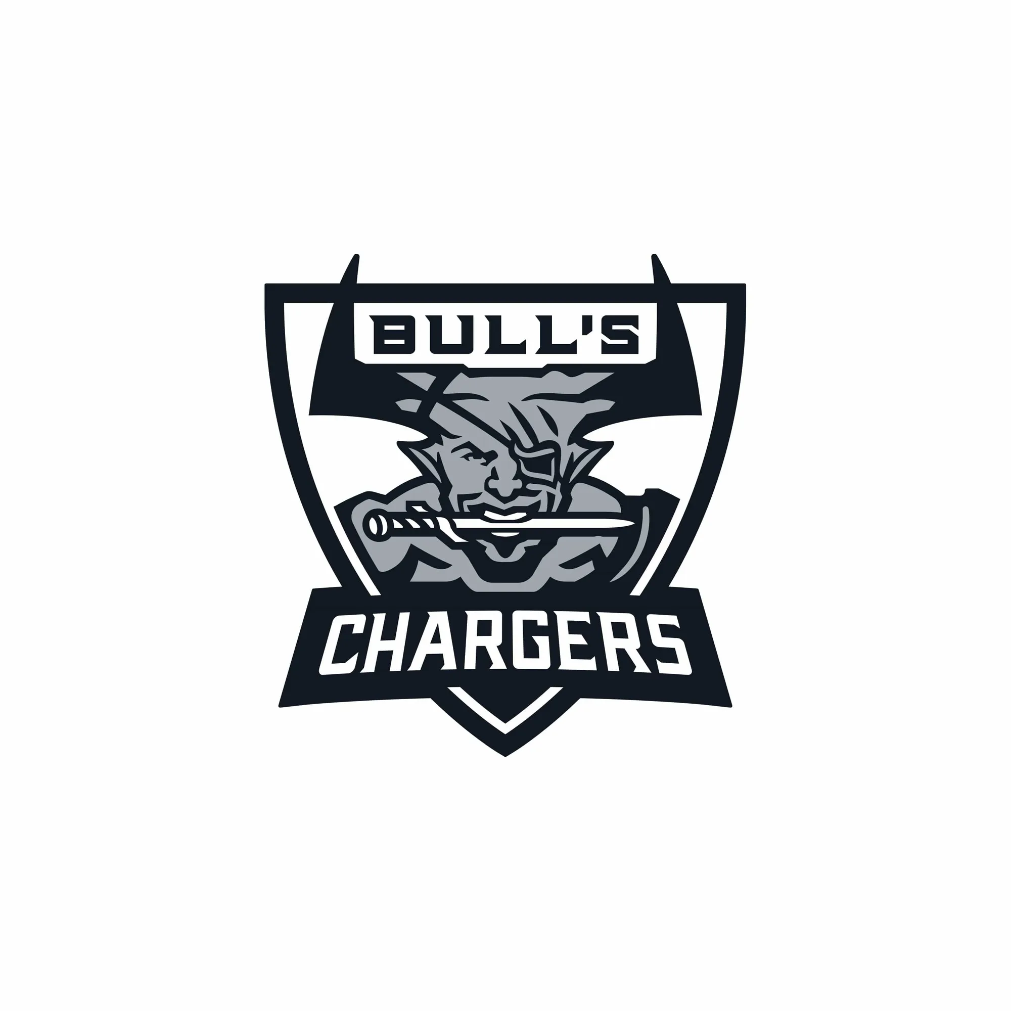 ملصق Bull's Chargers من Dragon Age: متانة واستخدامات