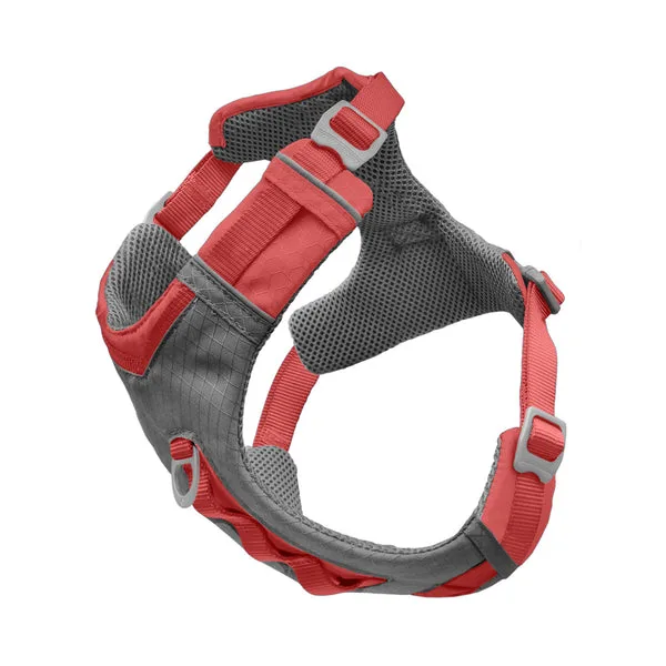 Top 5 Features to Look for in a Dog Car Harness